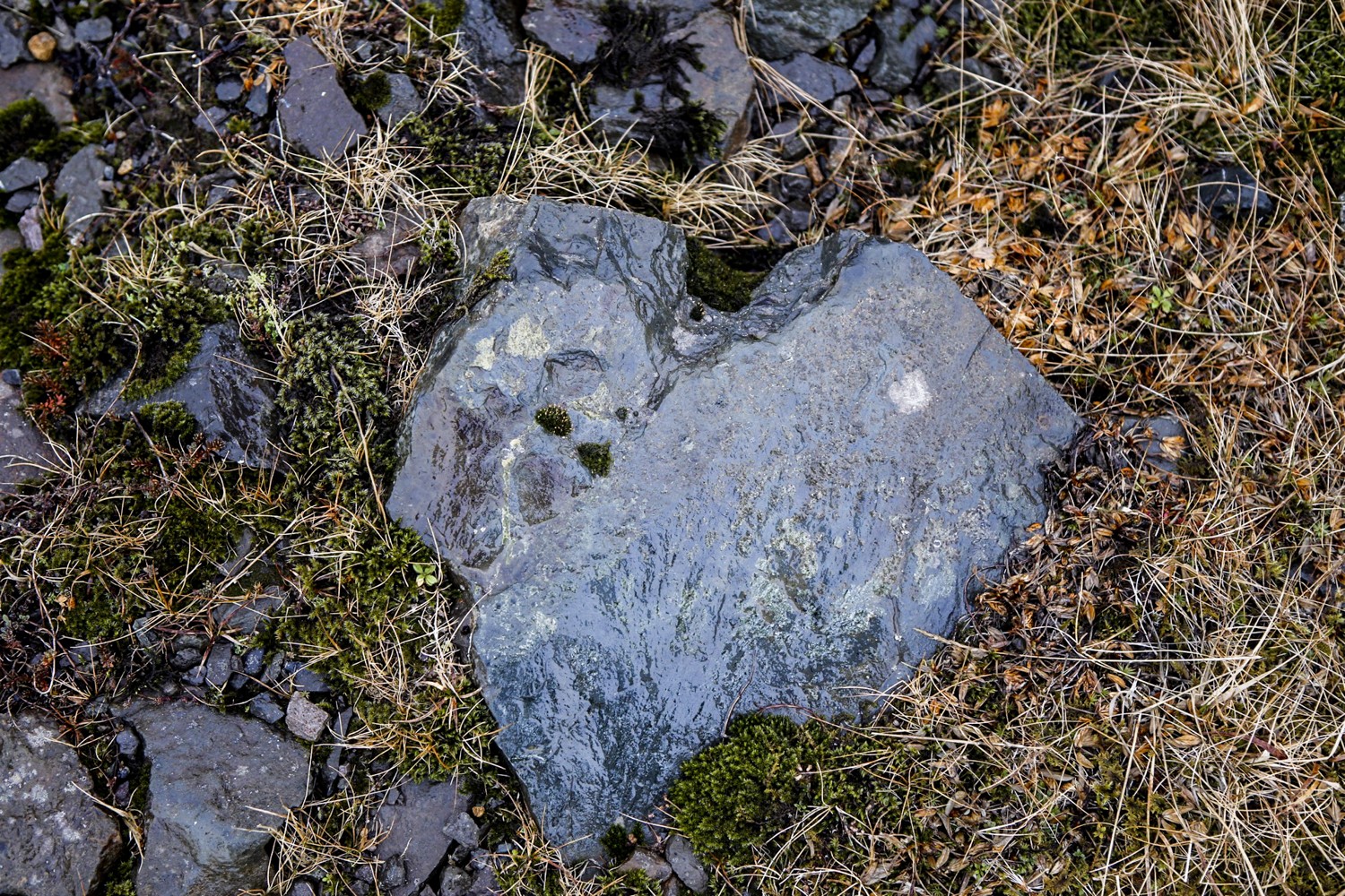 Love is All You Need.