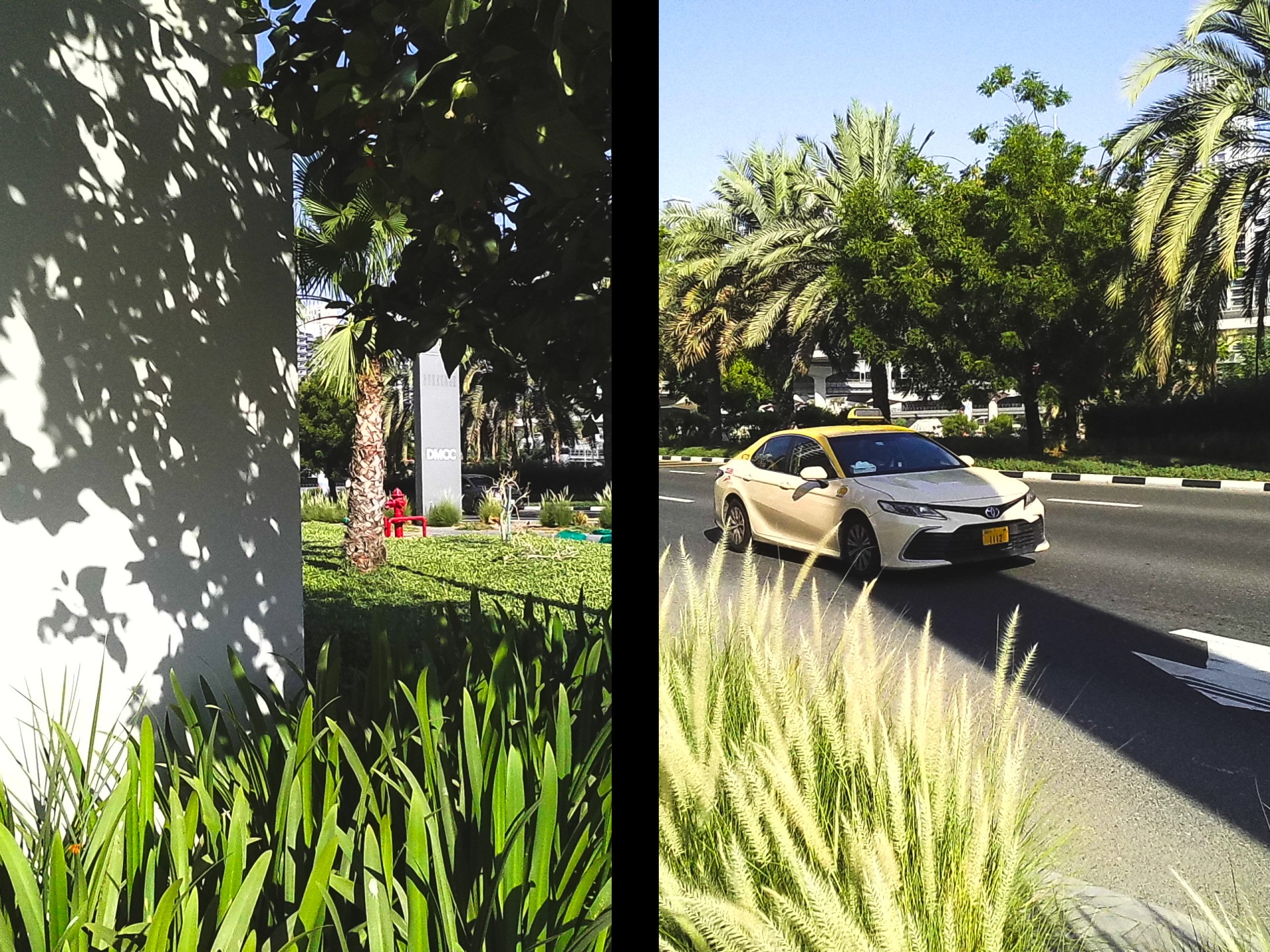 Taxi driving on a sunny road lined with palm trees and lush greenery.