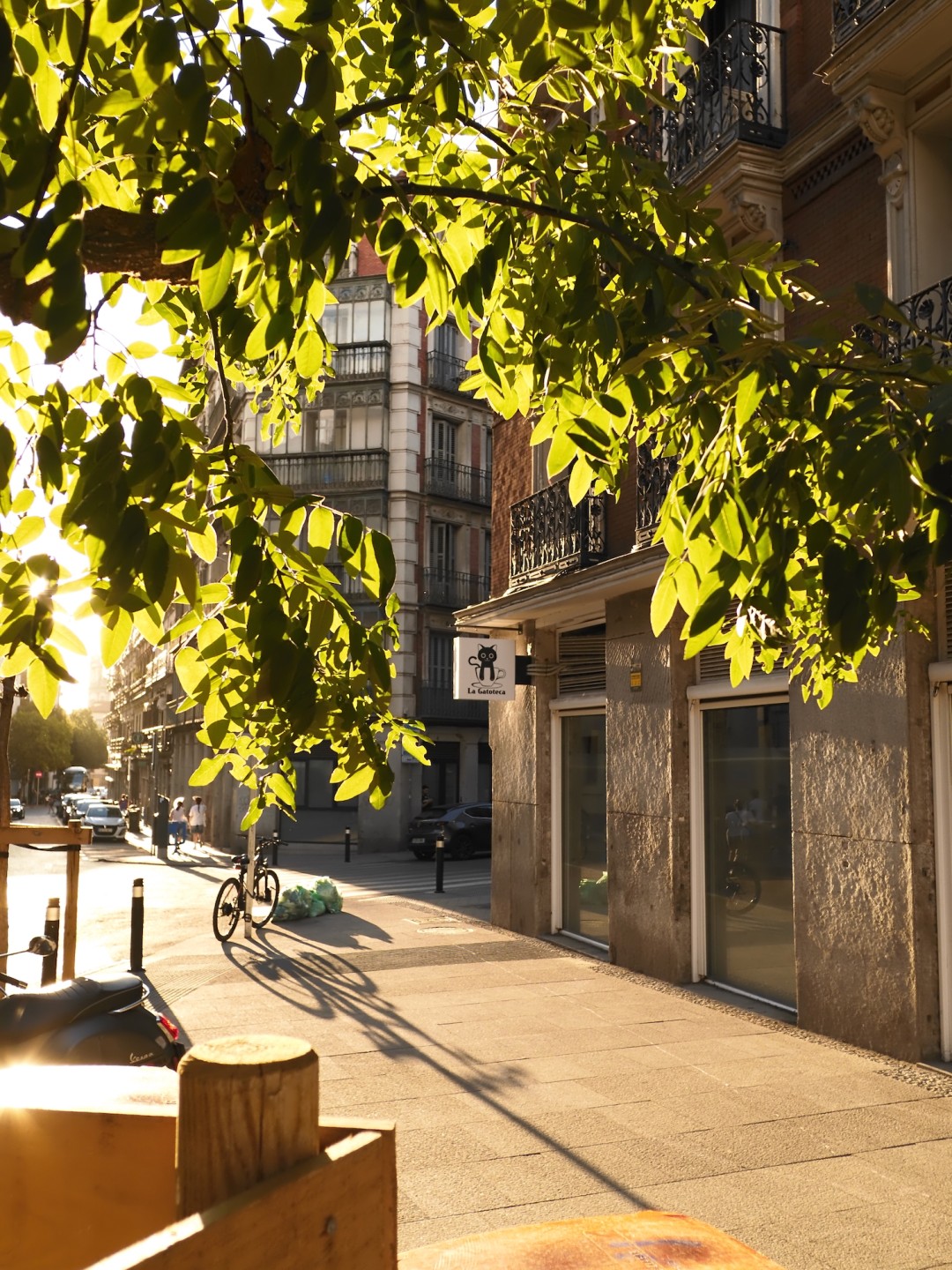 Sunlit urban street with leafy trees and shadows over a bicycle and buildings, creating a tranquil cityscape. Fujifilm X-Half X-HF1